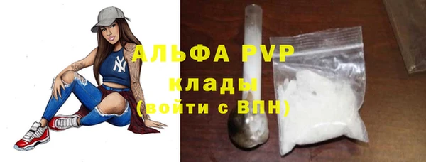 амф Анжеро-Судженск