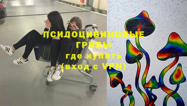 круглые Вяземский