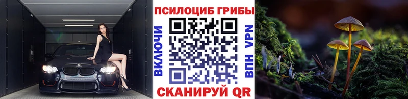 кракен онион  Микунь  Псилоцибиновые грибы Psilocybine cubensis  магазин продажи наркотиков 